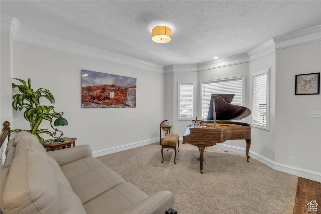 Living room with crown molding, carpet flooring, baseboards, and a textured ceiling