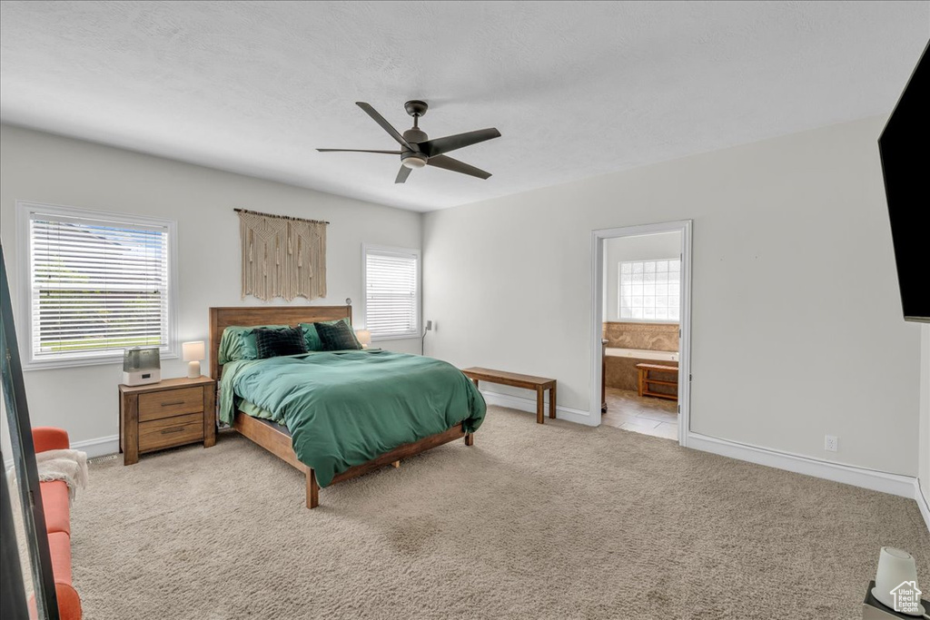 Bedroom with multiple windows, light colored carpet, baseboards, and ensuite bathroom