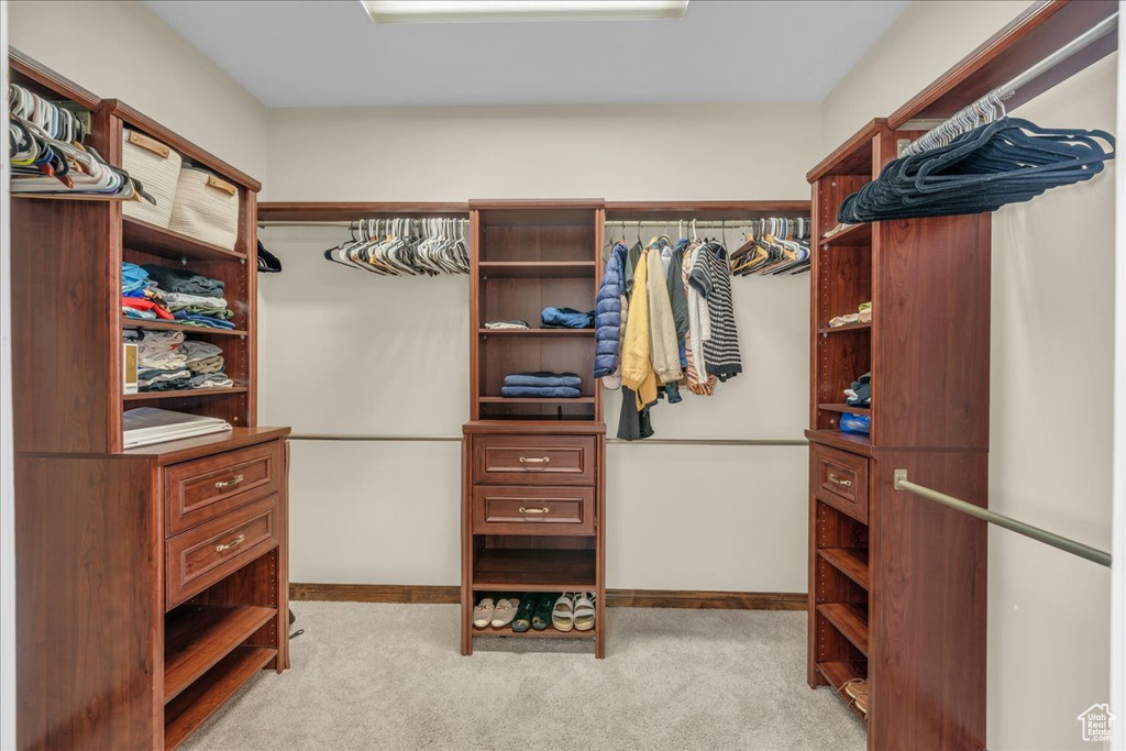 Spacious closet featuring carpet flooring
