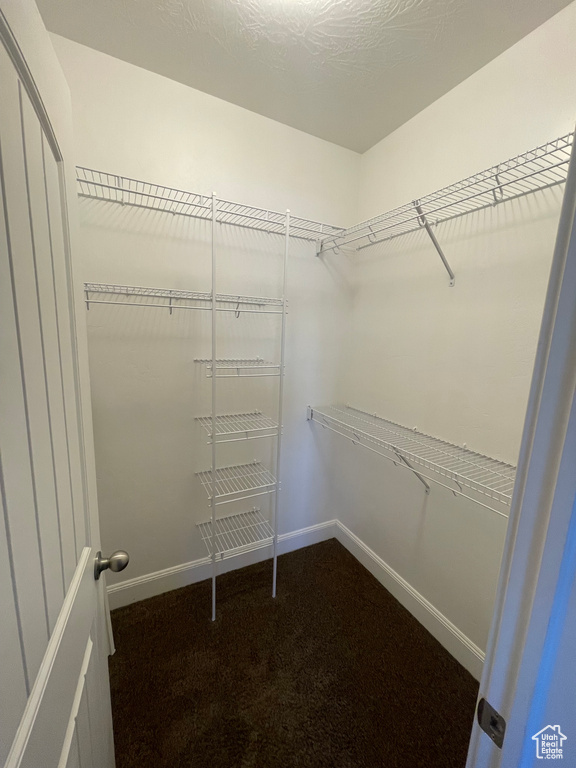 Spacious closet with dark carpet