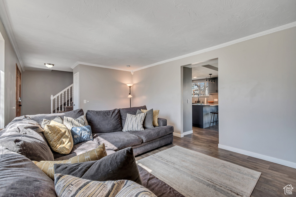 Living area featuring ornamental molding, dark wood finished floors, baseboards, and stairs