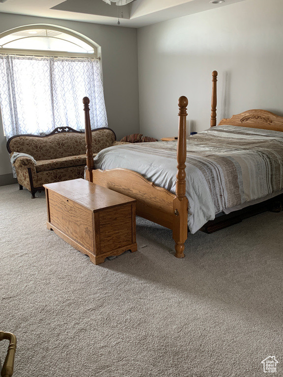 Carpeted bedroom with a ceiling fan
