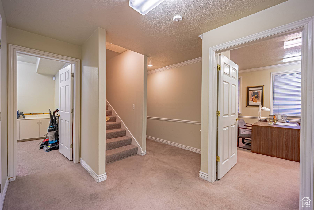 Interior space featuring a textured ceiling, ornamental molding, carpet, and baseboards