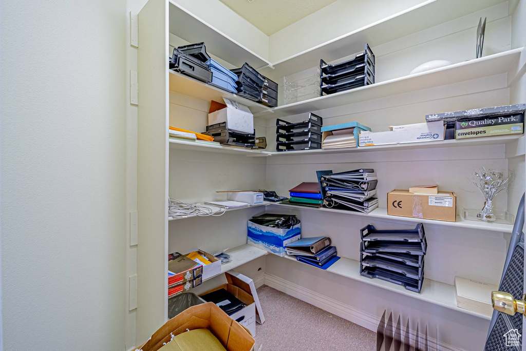 Interior space featuring carpet flooring