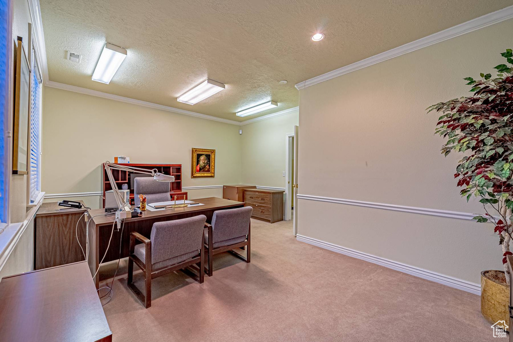 Home office featuring baseboards, visible vents, light colored carpet, ornamental molding, and a textured ceiling