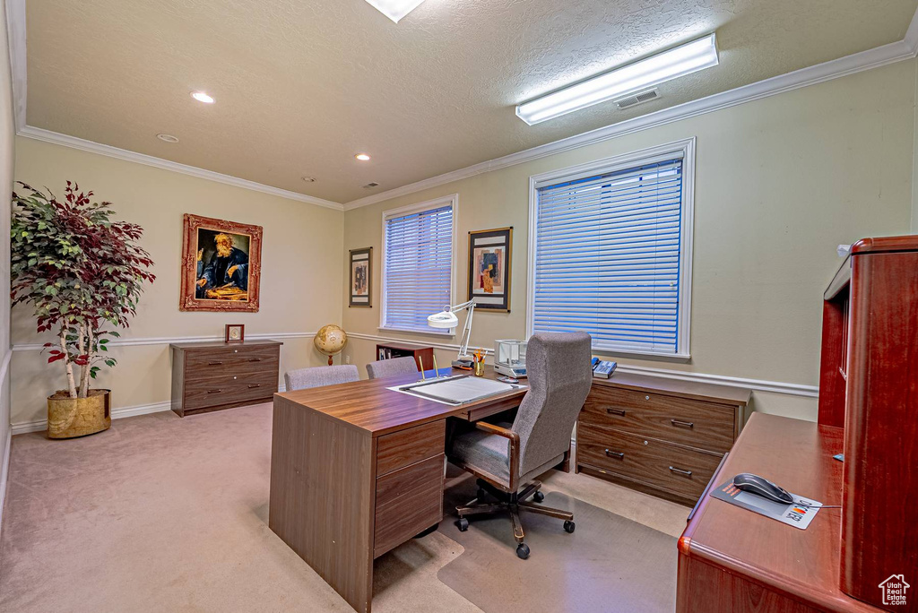 Office space featuring light colored carpet, crown molding, and a textured ceiling