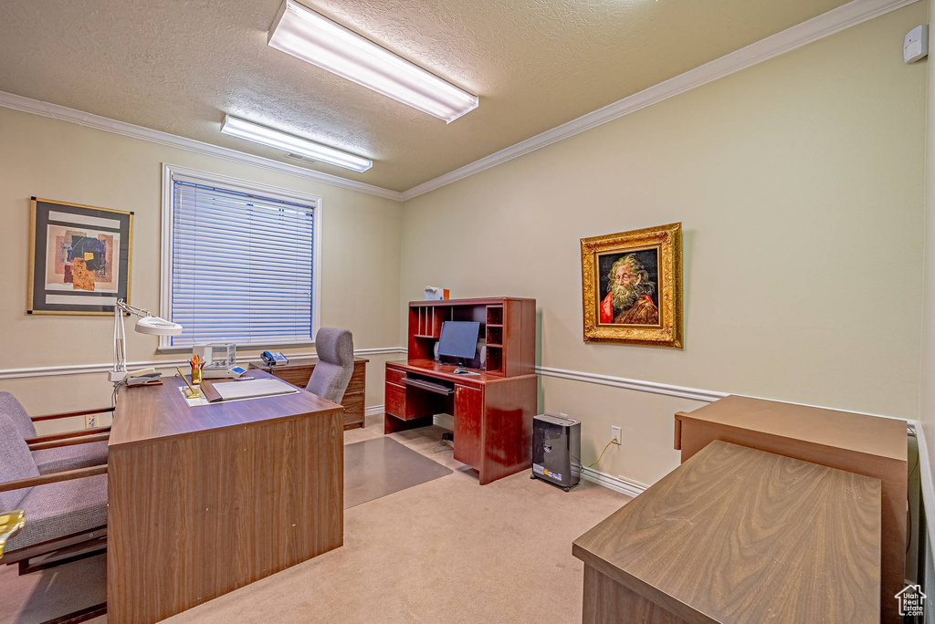 Office area featuring carpet floors, a textured ceiling, and crown molding