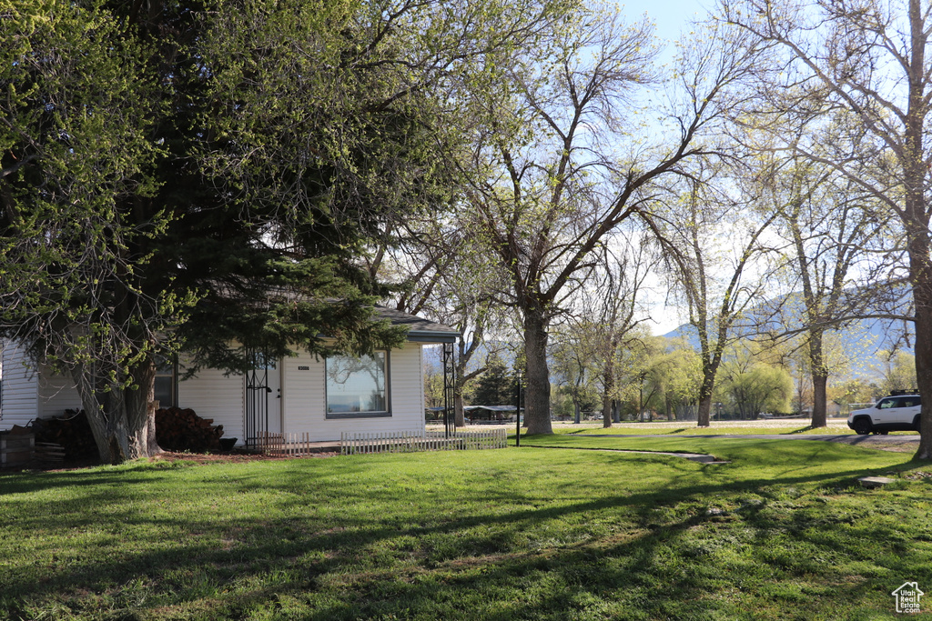 View of green lawn