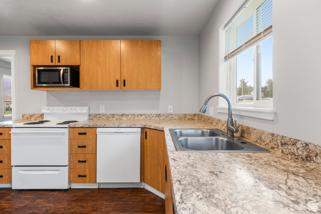 Kitchen with white appliances, a sink, light countertops, dark wood-type flooring, and plenty of natural light