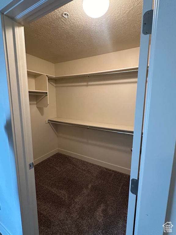 Walk in closet featuring dark colored carpet