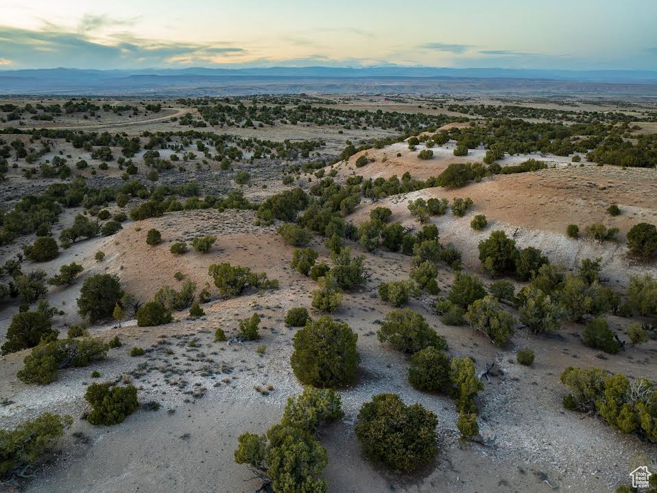 Aerial view at dusk featuring a rural view and a desert view