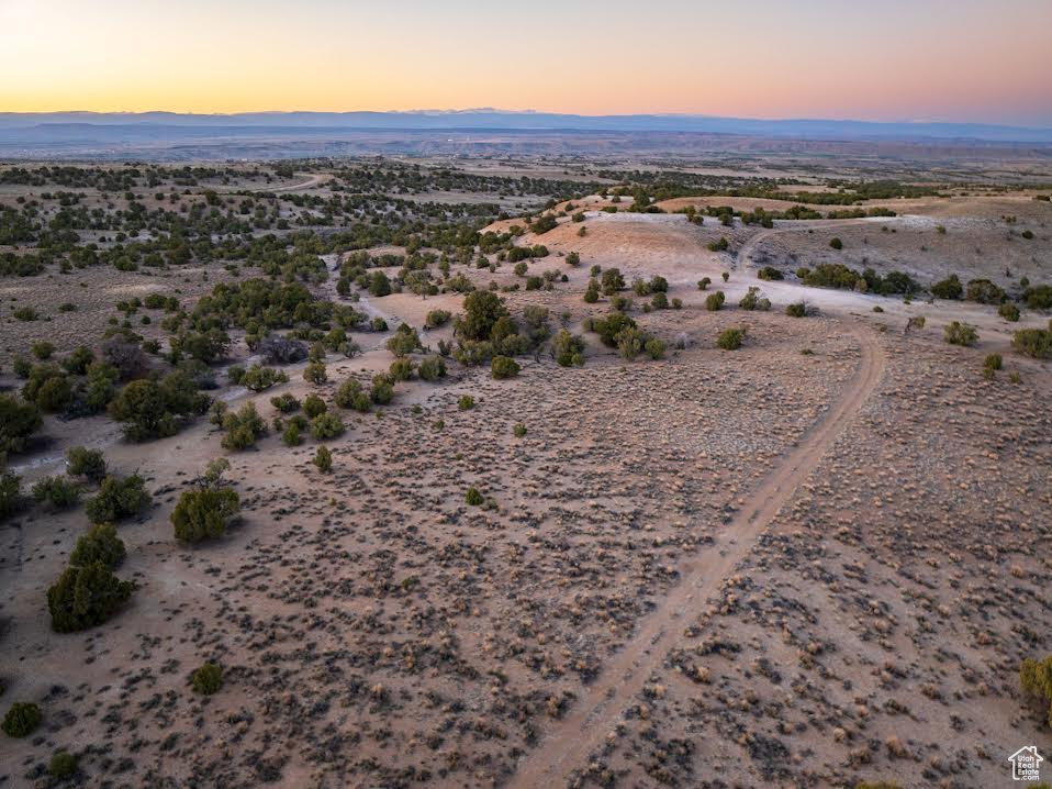 Birds eye view of property with a rural view and a desert view