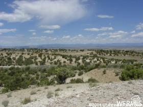 View of local wilderness