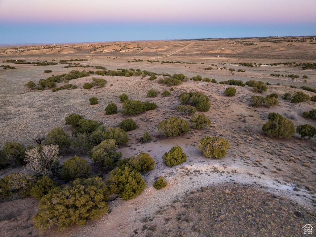 Drone / aerial view featuring a rural view and view of desert