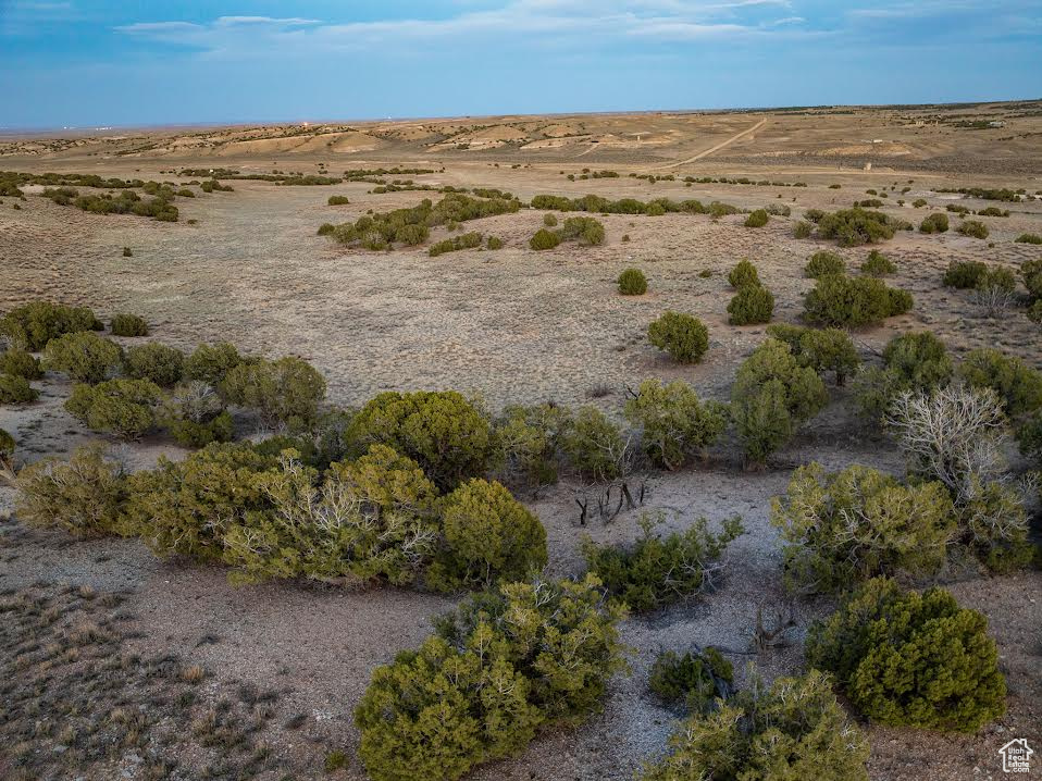 Bird's eye view with a desert view and a rural view