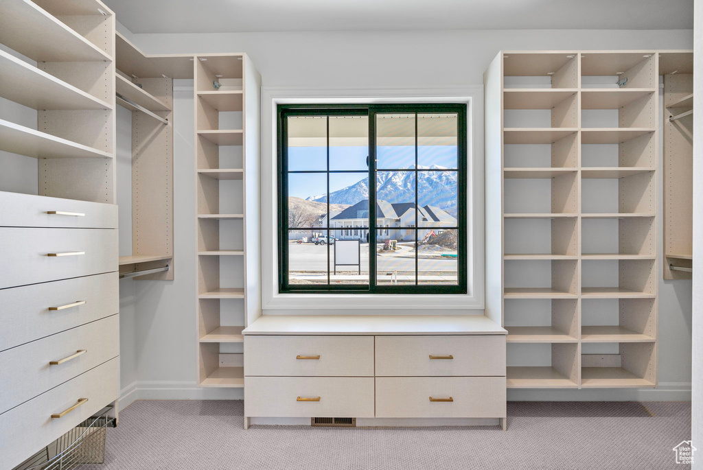 Spacious closet with light carpet