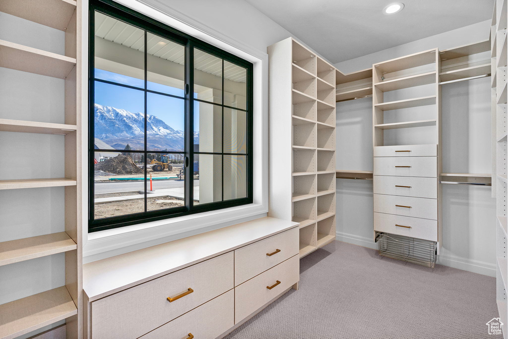 Spacious closet featuring light carpet