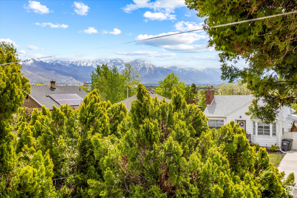 Mountain view