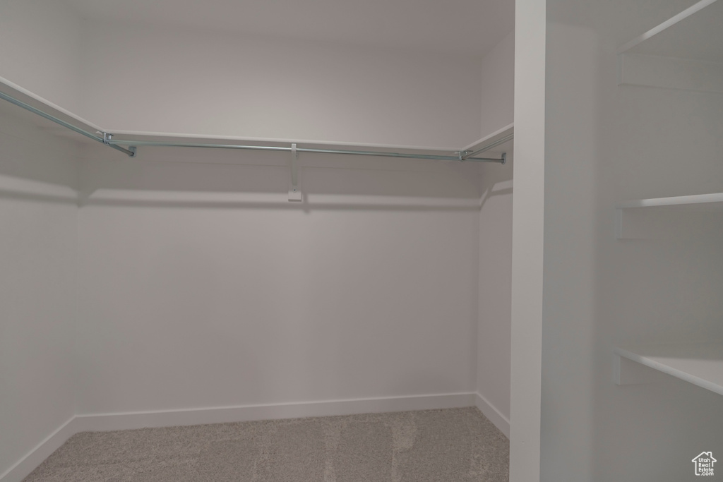 Walk in closet featuring carpet
