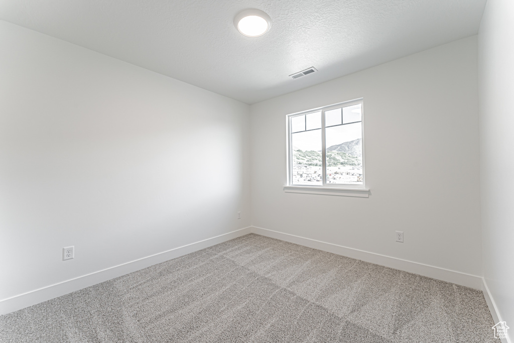 Unfurnished room with light colored carpet and a textured ceiling