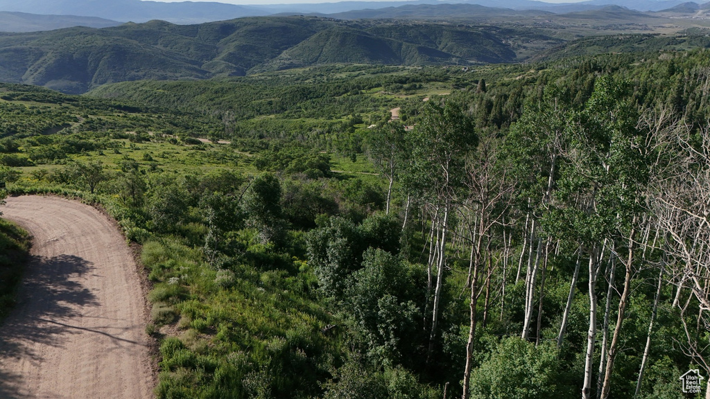 View of mountain backdrop featuring a heavily wooded area