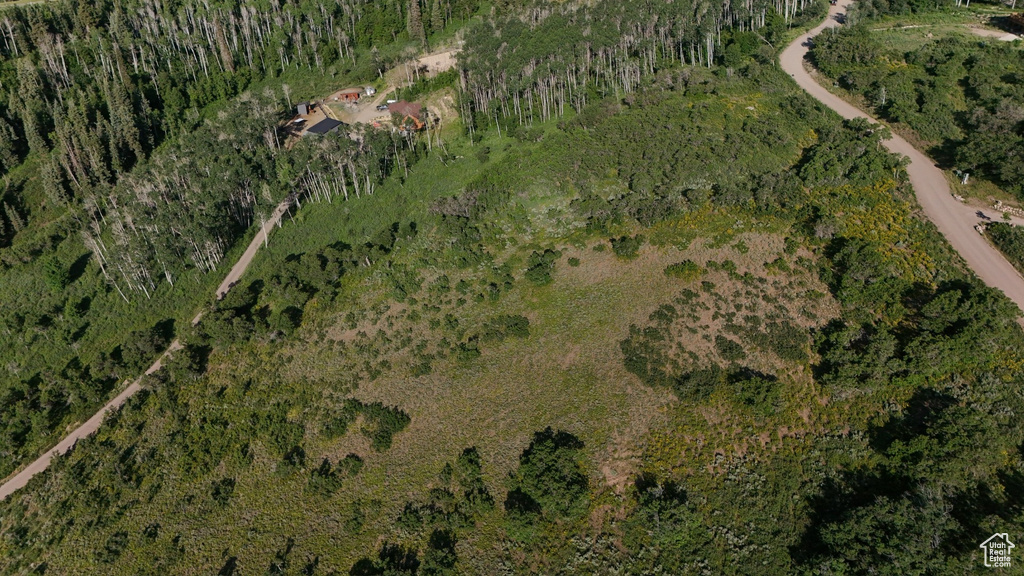 Aerial view of property\'s location with a forest