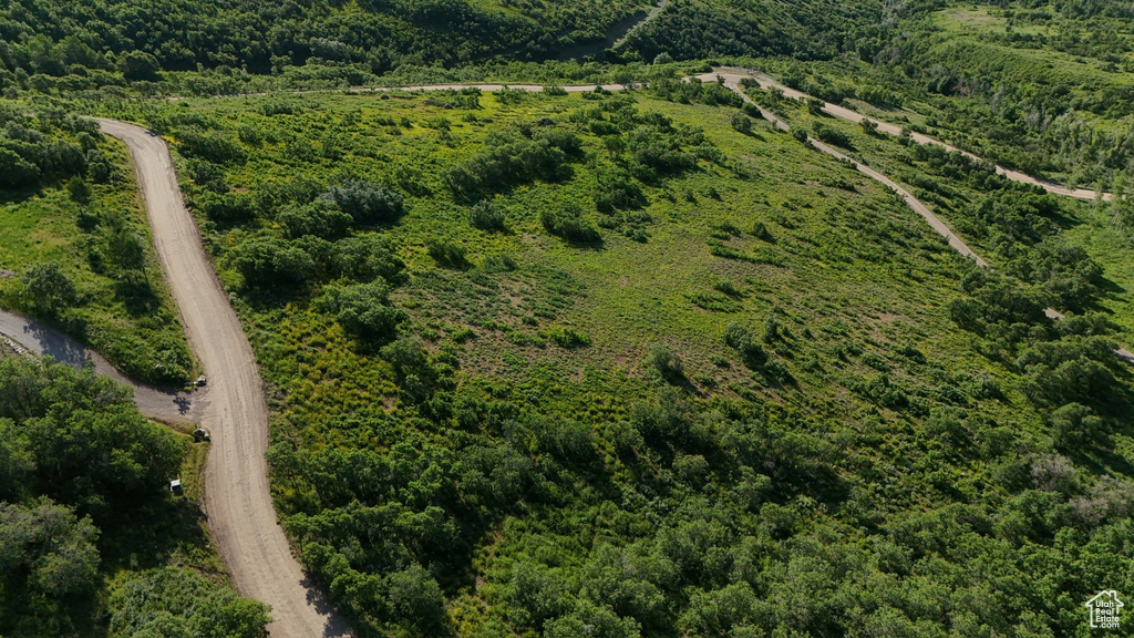 Drone / aerial view of a heavily wooded area