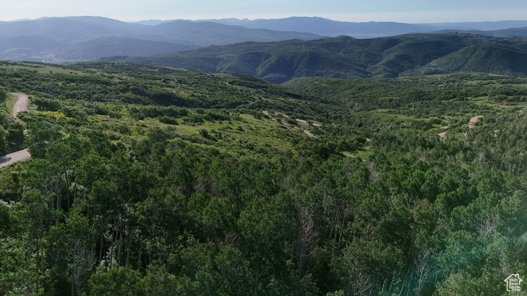 View of mountain background featuring a heavily wooded area