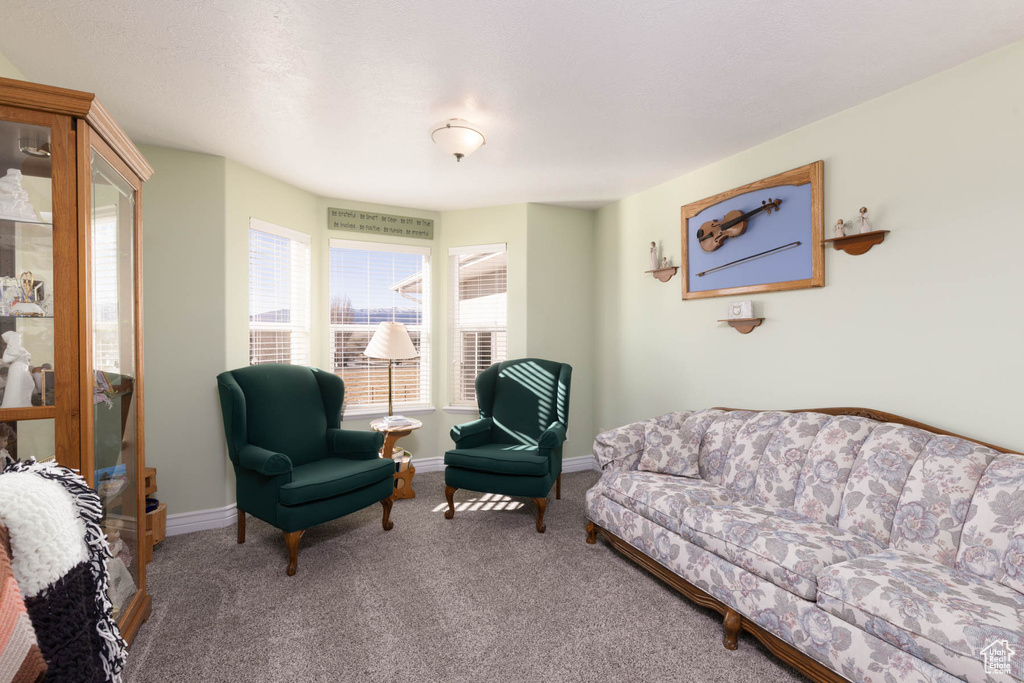 Carpeted living area featuring baseboards