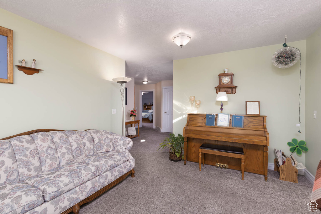 Carpeted living room with a textured ceiling and baseboards