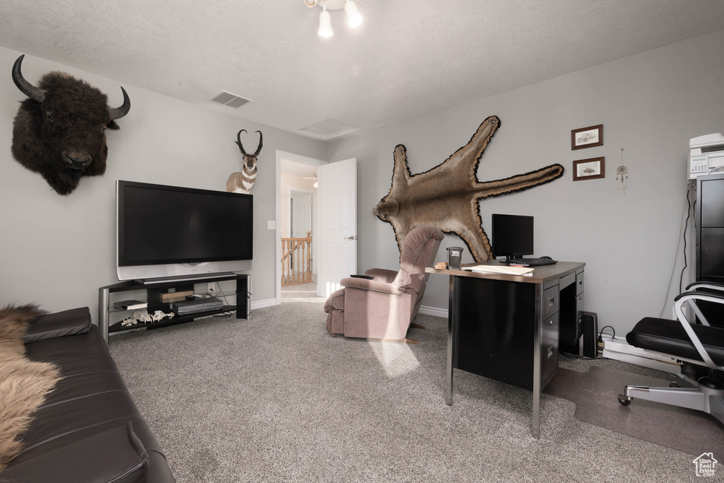 Living area with a textured ceiling, carpet floors, visible vents, and baseboards