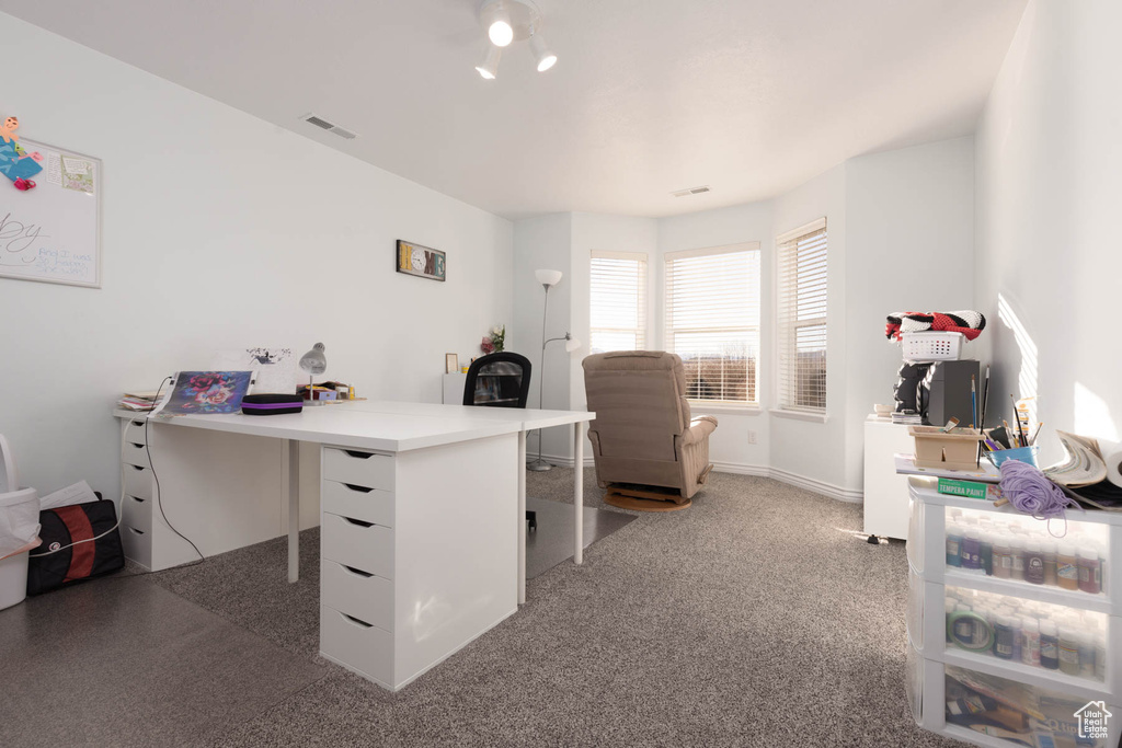 Office area with carpet flooring and visible vents