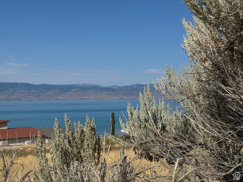 3907  EAST SHORE RD Saint Charles, ID 83272