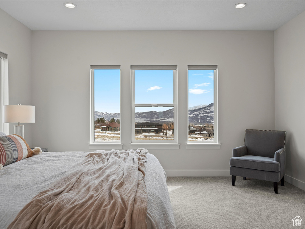 Bedroom with carpet, baseboards, and recessed lighting