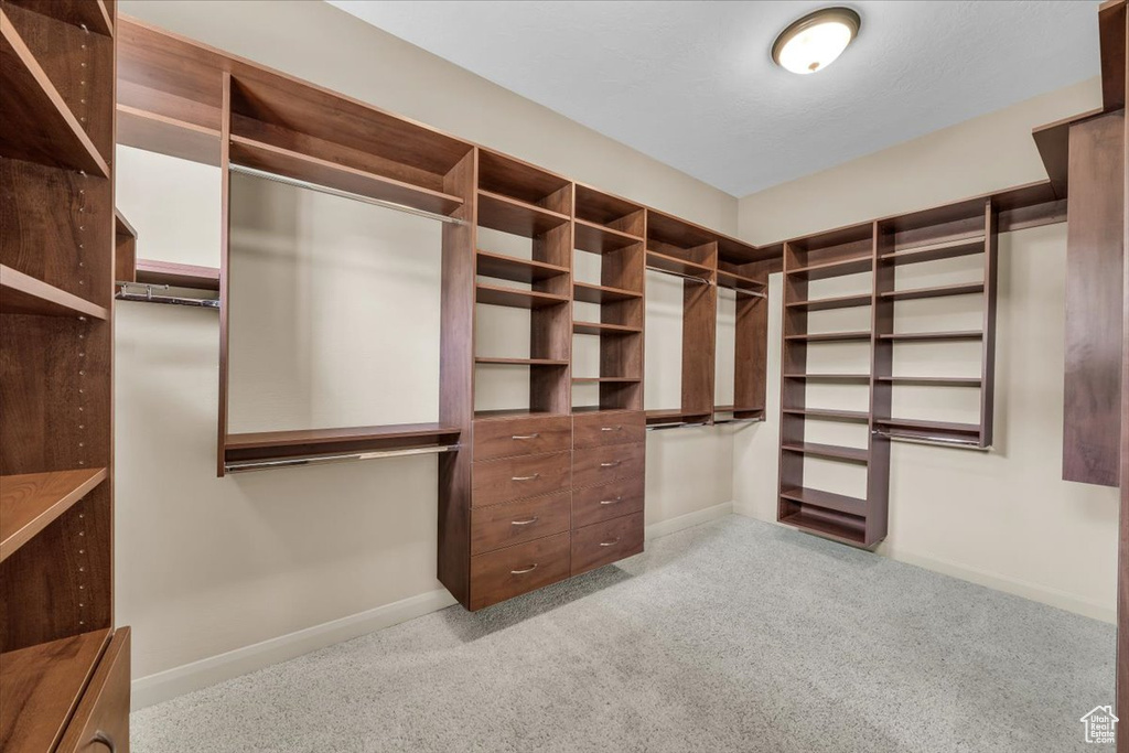 Spacious closet featuring carpet flooring