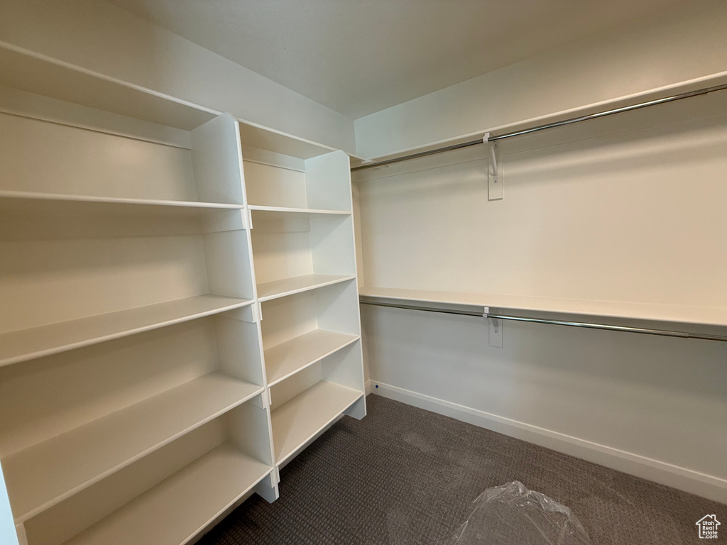 Spacious closet with dark carpet