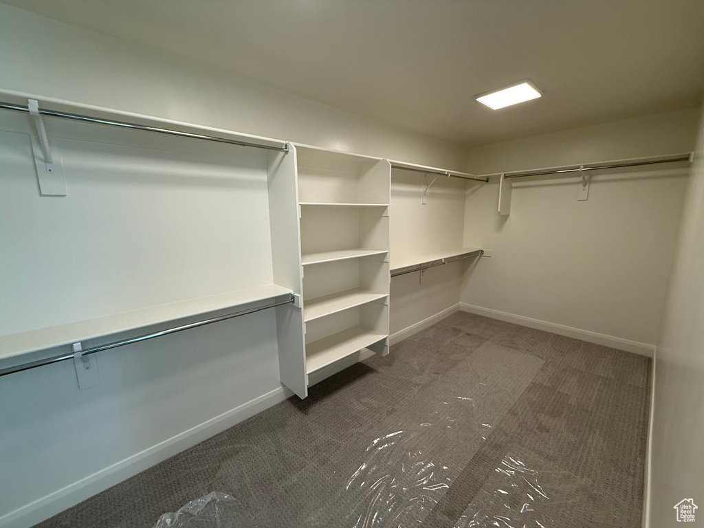Spacious closet with carpet floors