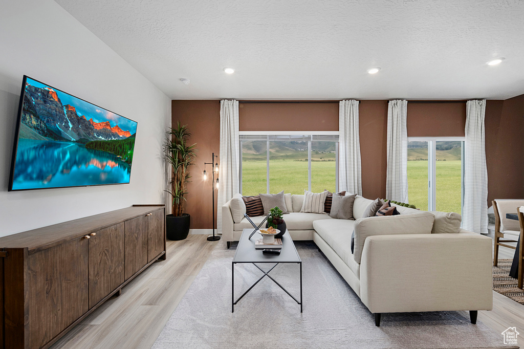 Living area with light wood-type flooring, a textured ceiling, and a wealth of natural light