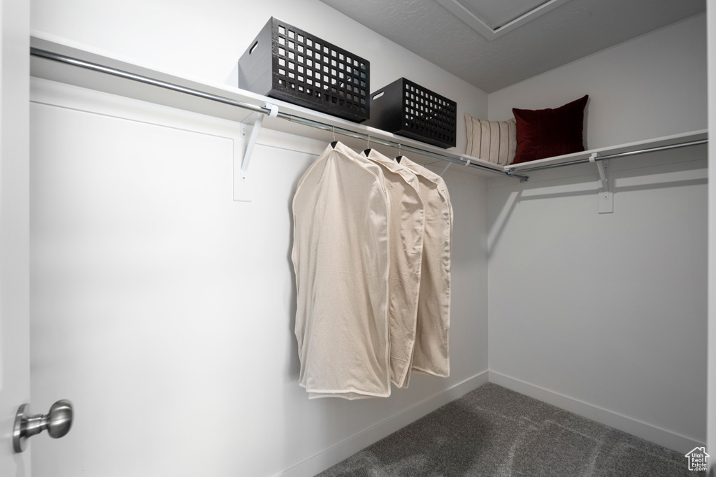 Spacious closet with carpet flooring