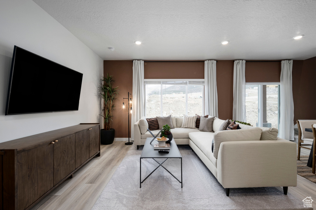 Living room with a wealth of natural light, a textured ceiling, and light wood finished floors