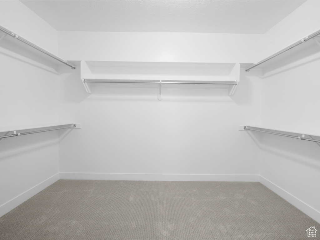 Walk in closet featuring carpet