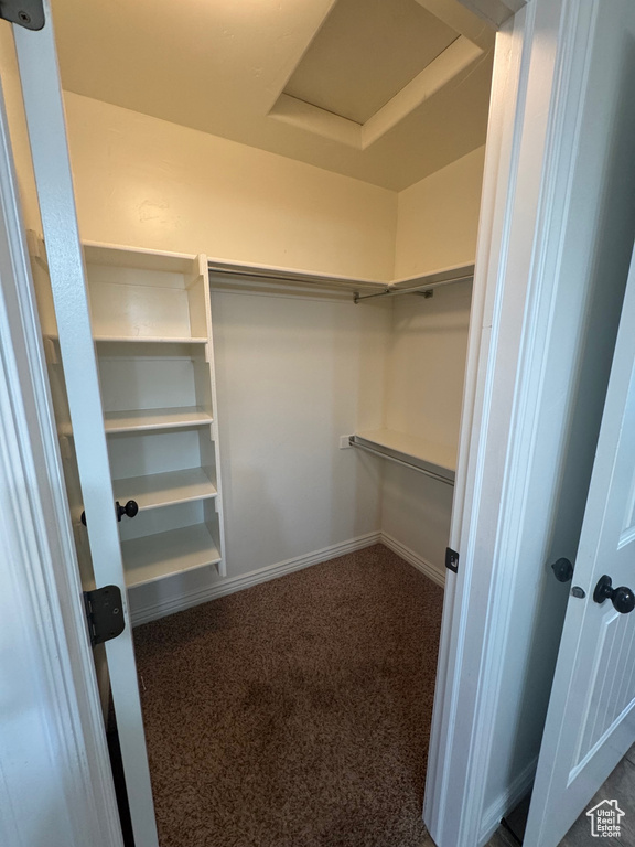 Walk in closet with attic access and dark colored carpet