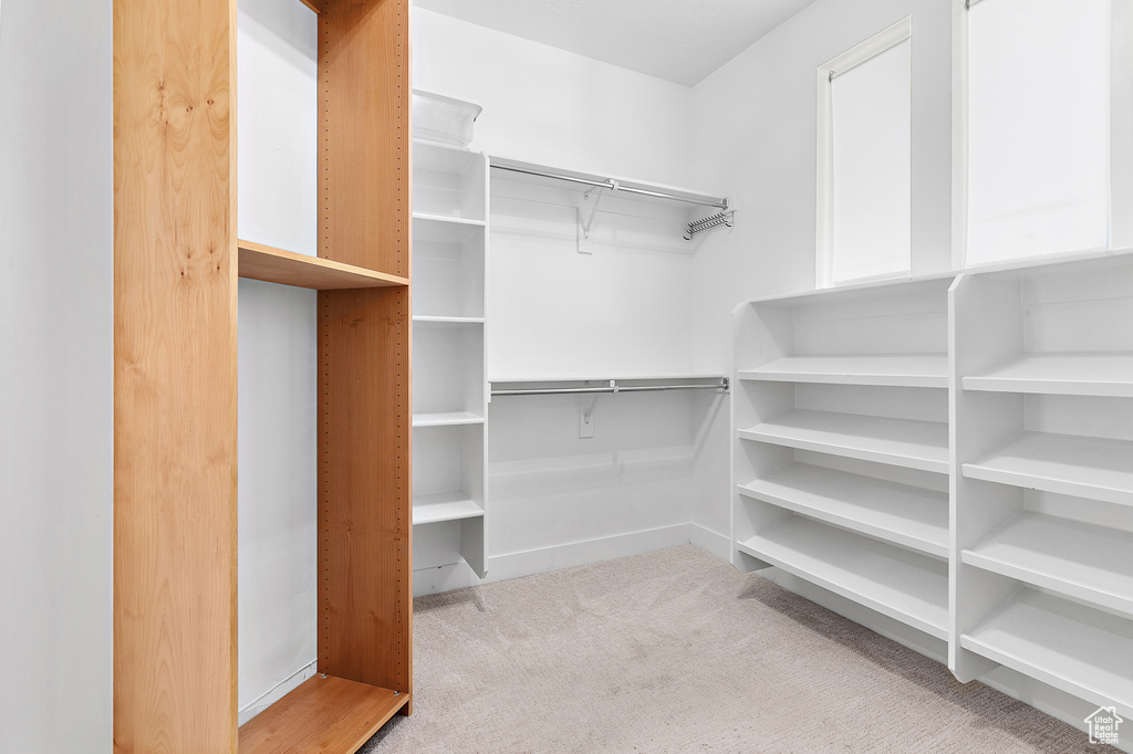 Spacious closet featuring carpet flooring