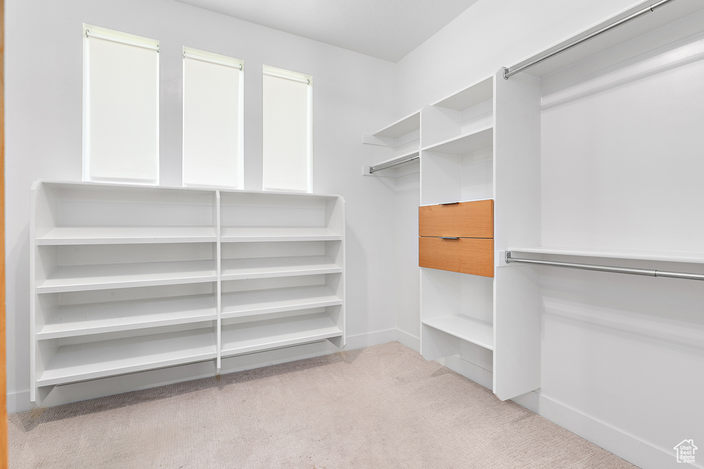 Walk in closet with carpet floors