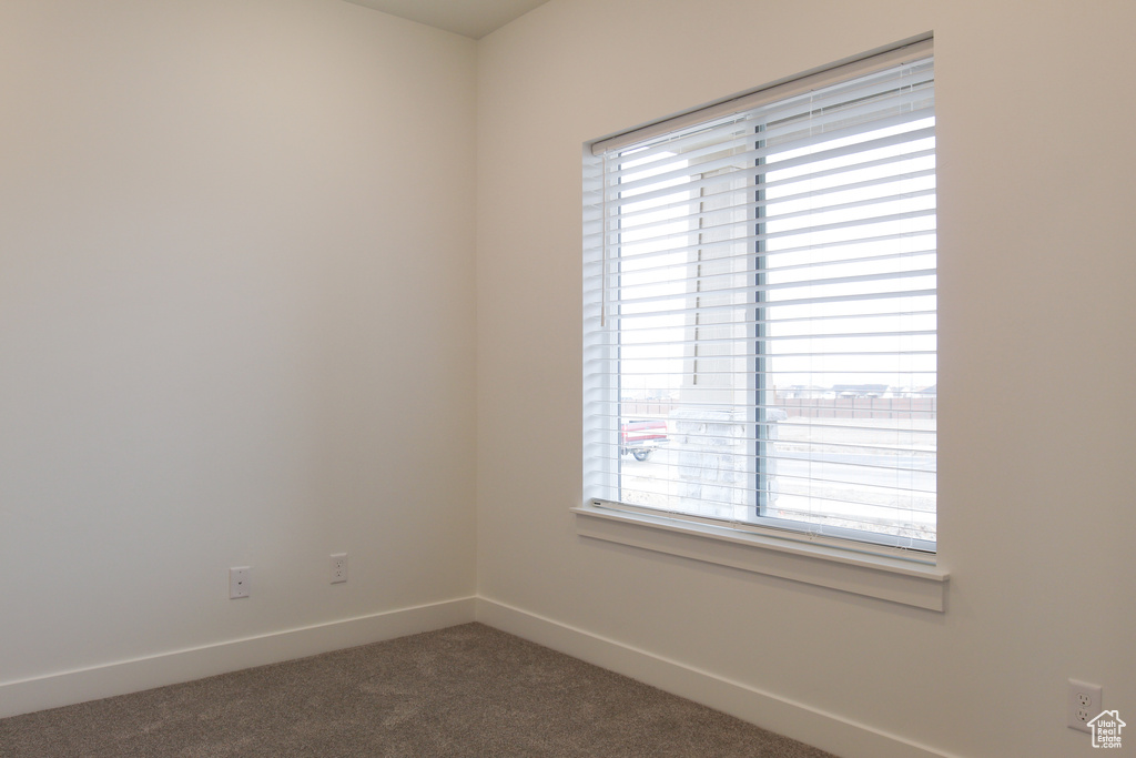 Carpeted spare room with a wealth of natural light and baseboards