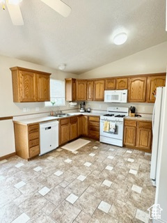 Kitchen featuring lofted ceiling, white appliances, a ceiling fan, light countertops, and brown cabinets
