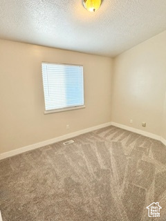 Carpeted spare room featuring a textured ceiling and baseboards