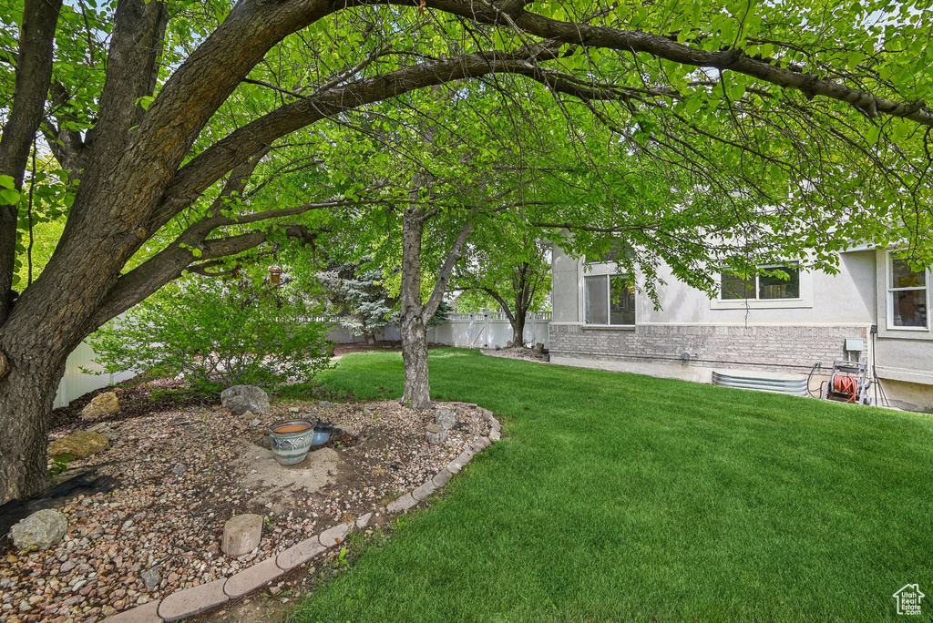 View of grassy yard