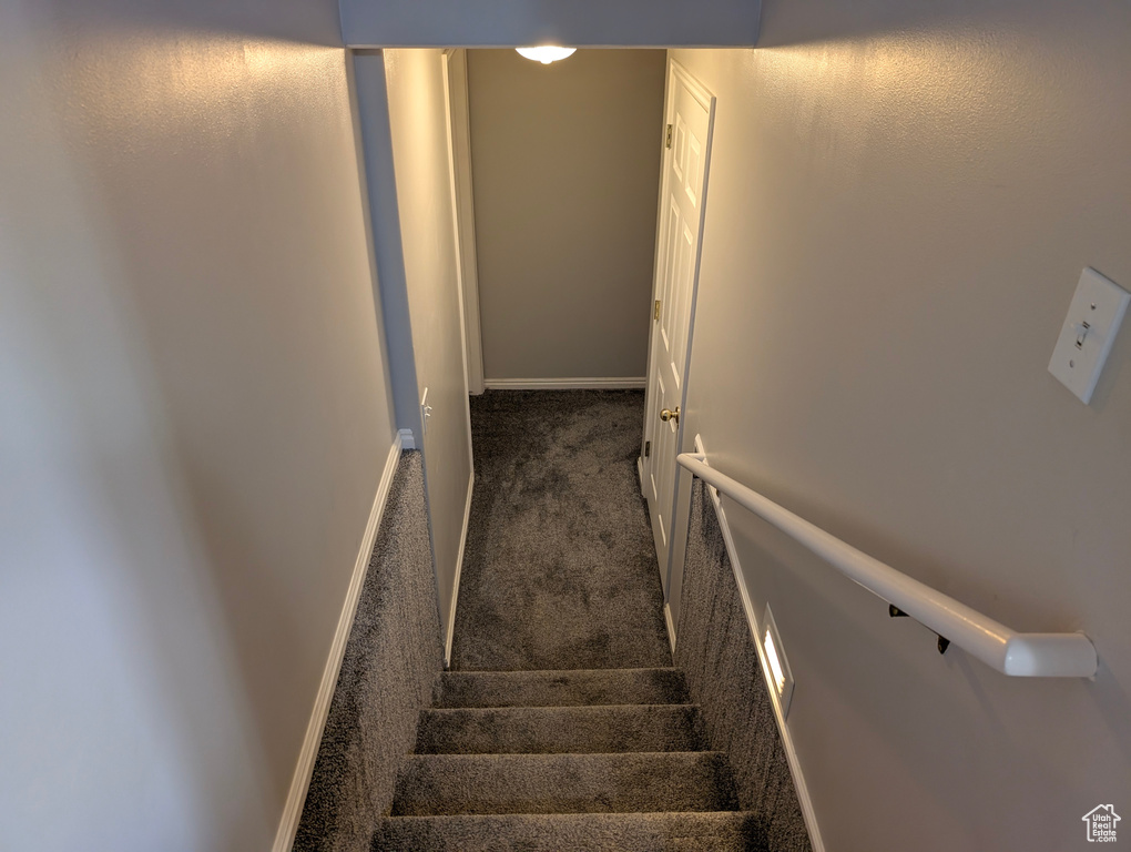 Stairway featuring carpet floors and baseboards