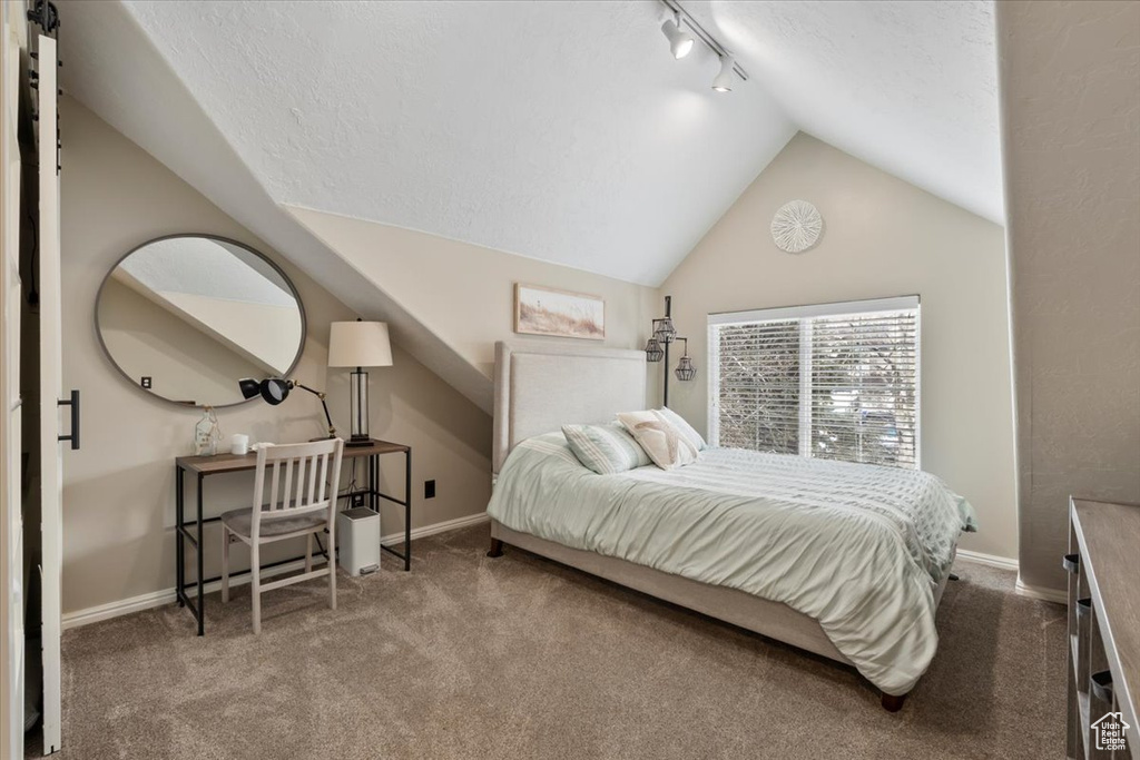 Bedroom featuring baseboards, rail lighting, carpet, vaulted ceiling, and a textured ceiling